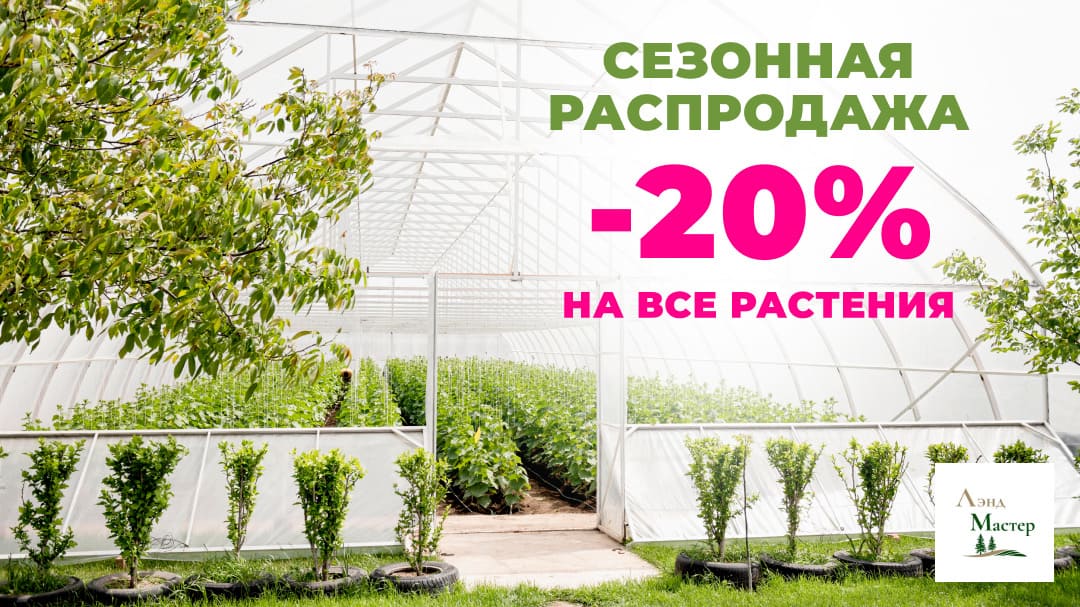 Сезонные скидки -20%