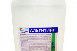 Маркопул Кемиклс против водорослей Альгитинн канистра 10л (10 кг)