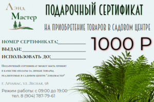 ПОДАРОЧНЫЙ СЕРТИФИКАТ 1000