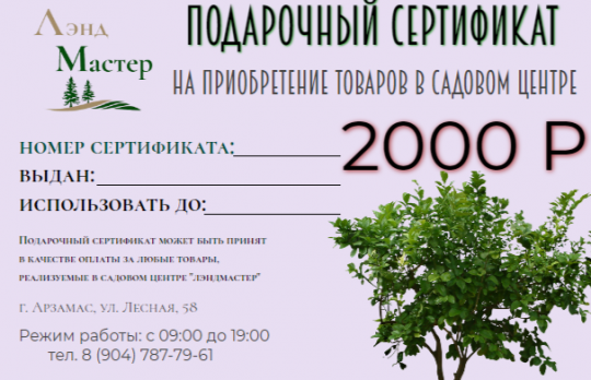 ПОДАРОЧНЫЙ СЕРТИФИКАТ 2000