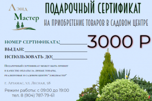 ПОДАРОЧНЫЙ СЕРТИФИКАТ 3000