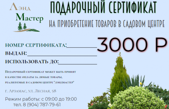 ПОДАРОЧНЫЙ СЕРТИФИКАТ 3000