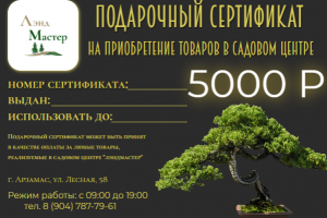 ПОДАРОЧНЫЙ СЕРТИФИКАТ 5000