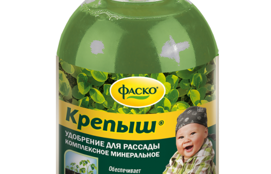 Крепыш (Фаско)